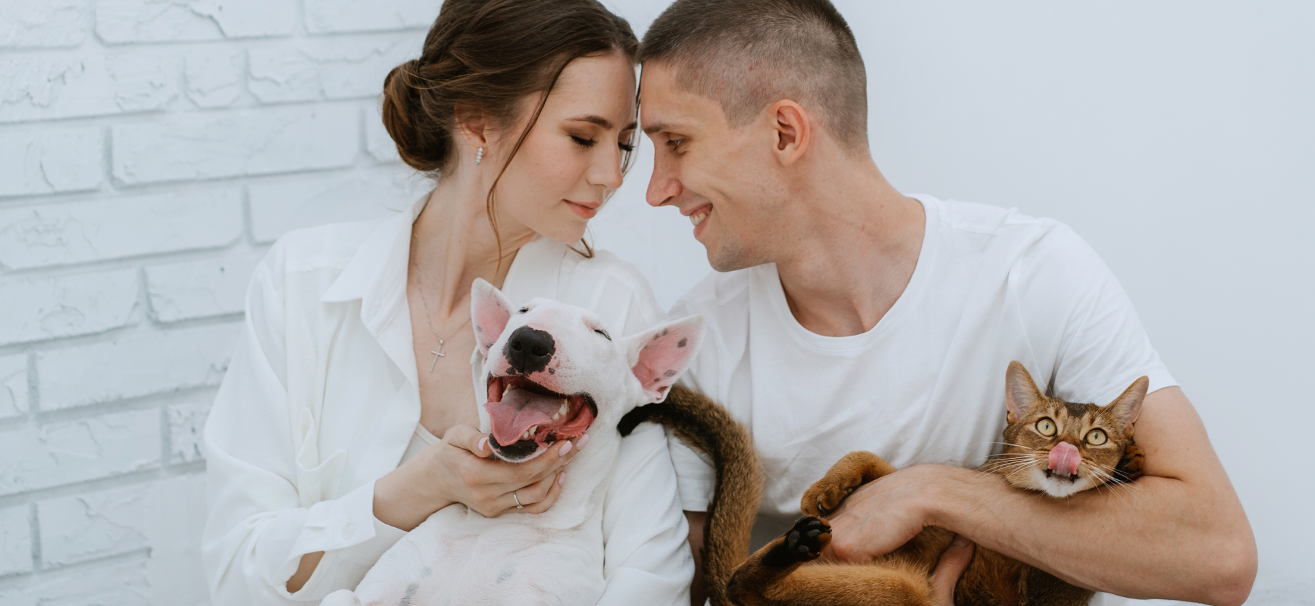 ¿Los perros y los gatos pueden vivir juntos?
